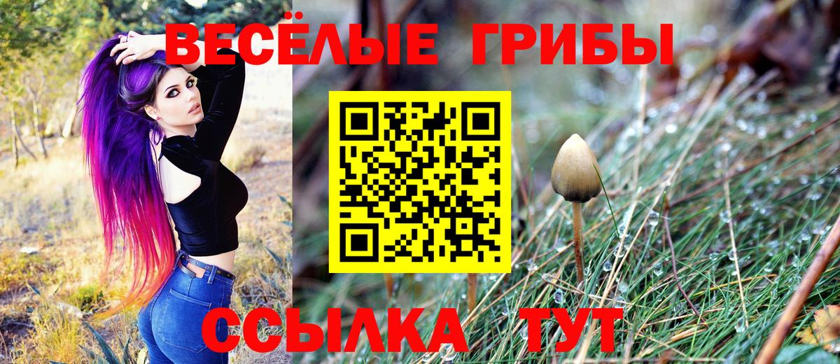 Псилоцибиновые грибы MAGIC MUSHROOMS Таганрог