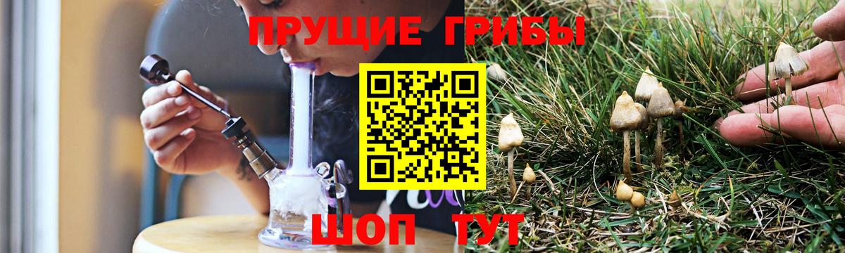 Галлюциногенные грибы Magic Shrooms  Вход с VPN  Таганрог 